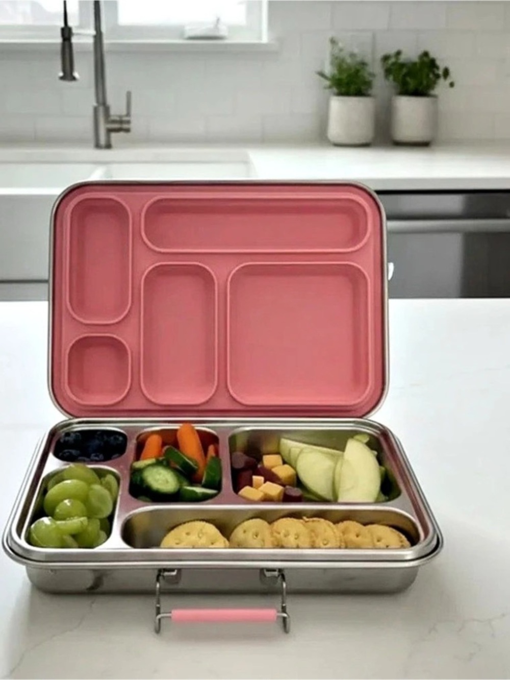 EcoCocoon Bento Lunch Box 5, Pink & Silver
